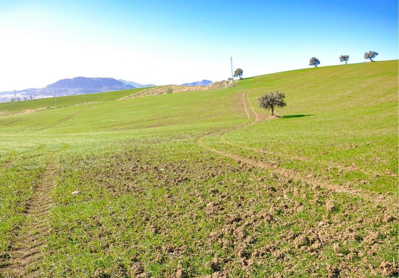 Cortijo Las Caballerias Álora Exterior foto